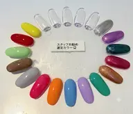新規のお客様！ ★フット オフ有 オススメ選定ラメ、ワンカラー