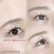 【韓国束感】˗ˏˋ フラットラッシュ120本 ˎˊ˗ オフ込/モチ◎LED変更可