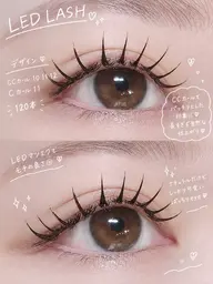 大人気の最新技術LEDフラットラッシュ120本🌷