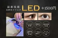 +1500円でLED変更可能