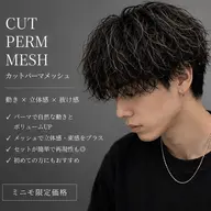 🏍️大人気メッシュパーマ🏍️ メンズカット+パーマ+ハイライトブリーチ