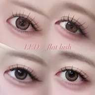 【モデル5名様限定✨️】ダブルフラット50束🎀🪽 濃さ・持ち重視の方におすすめ🪄