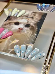 定額シンプルコース