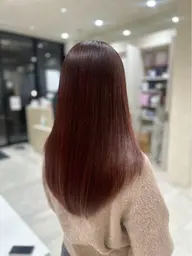 🐈⬛ 白髪染めワンカラー+Tr ✨