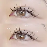 flat lush 80本