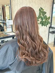 ハイライト