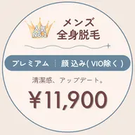 【メンズ】全身脱毛プレミアム(+顔) ※VIO対象外 〈2回目以降〉