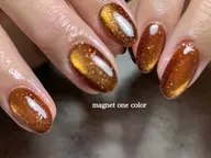 🧸【 Hand オフなし】---magnet one color---