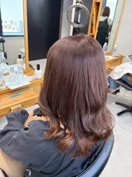 💫【当日予約不可】カットカラー💫