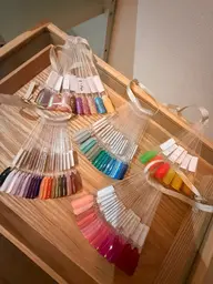 one color