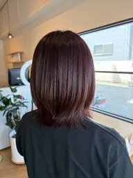 【平日限定クーポン✨️】ワンカラー+5stepトリートメント🌿※ロング料金ございます