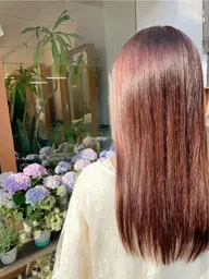 トリートメントストレート(SB込)(ロング追加あり)