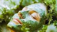 【美活60分】🌿肌運命を変える🌿Super美肌セレブ🌿24種類のハーブ🌿➕毛穴洗浄のW施術🌿実感美肌革命🌿