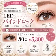 LED🌹【オフ無料・バインドロック80束(160本)】¥5300✨