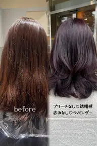✨人気カラー✨【ブリーチなしダブルケアカラー】➕シャンプーブロー