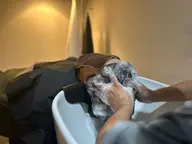 【18時以降限定】shampoo + spa
