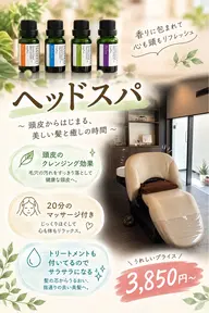 ヘッドスパ (シャンプー、ブロー込)