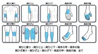 脚+腕全体脱毛