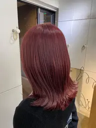 《ブリーチモデル様募集》 ブリーチリタッチ + オンカラー🌱