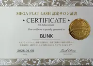 【導入キャンペーン】メガフラットラッシュ100束(300本)