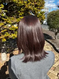 【minimo限定クーポン】カット➕ワンカラー🐶スチーム前処理付き🫧