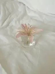 【日々の疲れに】ヘッドスパ𓂃🫧