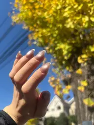 クリアフレンチ10本 + マグネットワンカラー✨