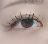 🌺フラットラッシュ🌺60本〜120本【オフ込み無料】コーティング仕上げ👁️✨