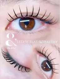 【💎LED+&Healthy🎀】上下本数無制限❣️フラットラッシュ 120分つけ放題♡コーティング付き