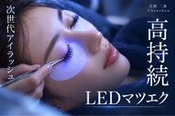 🫧LEDマツエク無制限付け放題🫧
