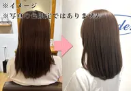 【💎7/19(日)19時限定💎 】✨今より明るく✨🫧透明感&艶感カラー🫧