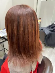 ワンカラー+トリートメント
