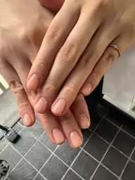 【7/2〜6限定価格❗️】《Jr.価格》半透明ワンカラー🫧キレイめ✨オフィス向け🏢