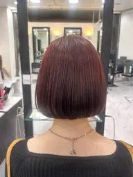 【無料】✨レディースボブカット✨