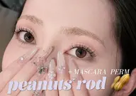 【ご新規様/口コミ限定🩶】アイブロウWAX(間引き付)×韓国式まつげパーマ(TR付)