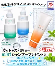 🏝️【オーシャンコース】ﾍｯﾄﾞｽﾊﾟ＋ﾄﾘｰﾄﾒﾝﾄ《ミントシャンプーor日焼け止めミントスプレーがプレゼント》🎁