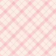 🎀斜めチェック🎀 オフ込み(特殊オフ料金あり)