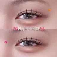 ˖ ࣪⊹Wコーティング Flat lush 120本꒰ঌ໒꒱