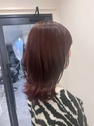 カット+プレミアムカラー【アディクシーカラー⭐︎白髪染め◎】
