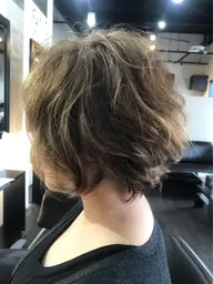 ハイライト(ローライト)⭐️のみ or インナー、イヤリングカラー🌈のみ + カット