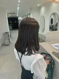 🌵限定🌵cut+ハイライトorインナーorグラデーション+1stepトリートメント✨