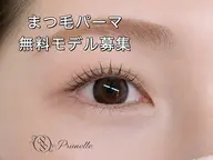 【先着20名限定】無料まつげパーマモデル募集🌿オーナー監修