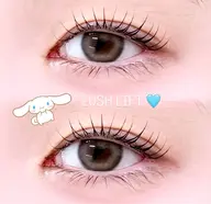 パリジェンヌor似合わせまつげパーマ🩵(束感コーティング付✨️)