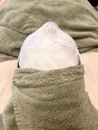 韓流肌🫧陶器肌トリートメント🫧白く引き締まったお肌へ💆🏻♀️✨くすみ・たるみでお悩みの方にオススメメニュー🌿