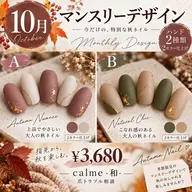 【毎月更新】マンスリーデザイン|選べる2デザイン ¥3,680