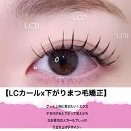 LCカールラッシュ100本/アイパック/美容液コーティング仕上がり/ご新規オフ無料/LEDオフ初回から800円