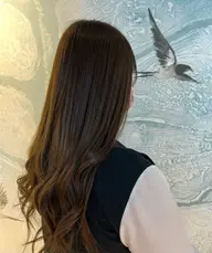 カット・カラー・ストレート