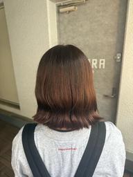 【ミディアム～ロングの方限定】メンテナンスカット✂️+ワンカラー🌈+トリートメント✨(⚠️ブリーチ、縮毛履歴❌)