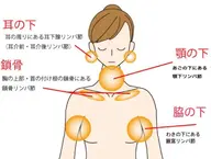 《骨格から整える》乳腺/胸腺リンパケア✨慢性の肩こり/胸の詰まり/背中のだるさを流す