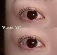 【本日限定】🩵まつげパーマ🩵(コーティング仕上げ)